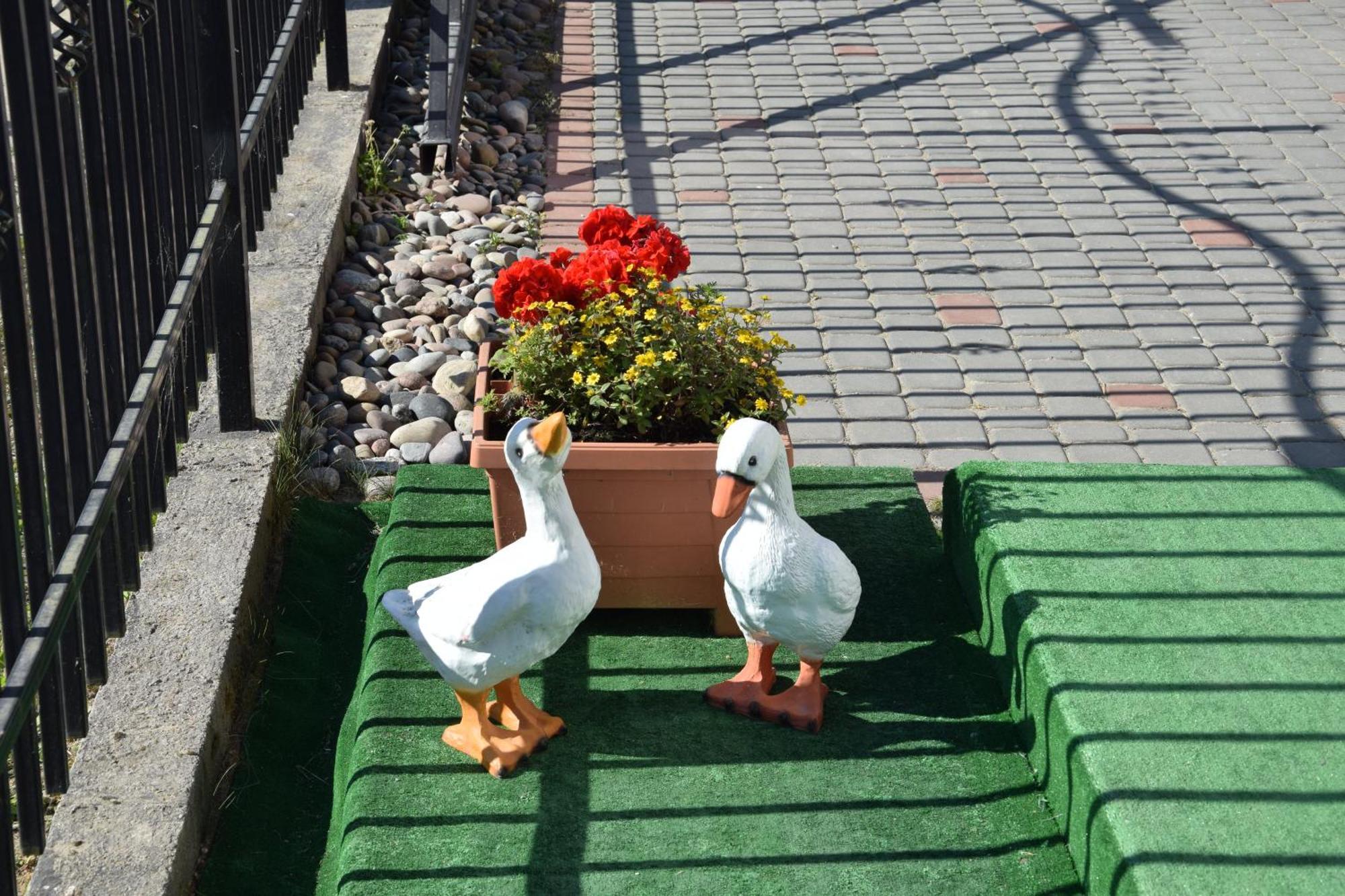 Przy Plazy 40 M Do Morza Daire Gąski Dış mekan fotoğraf